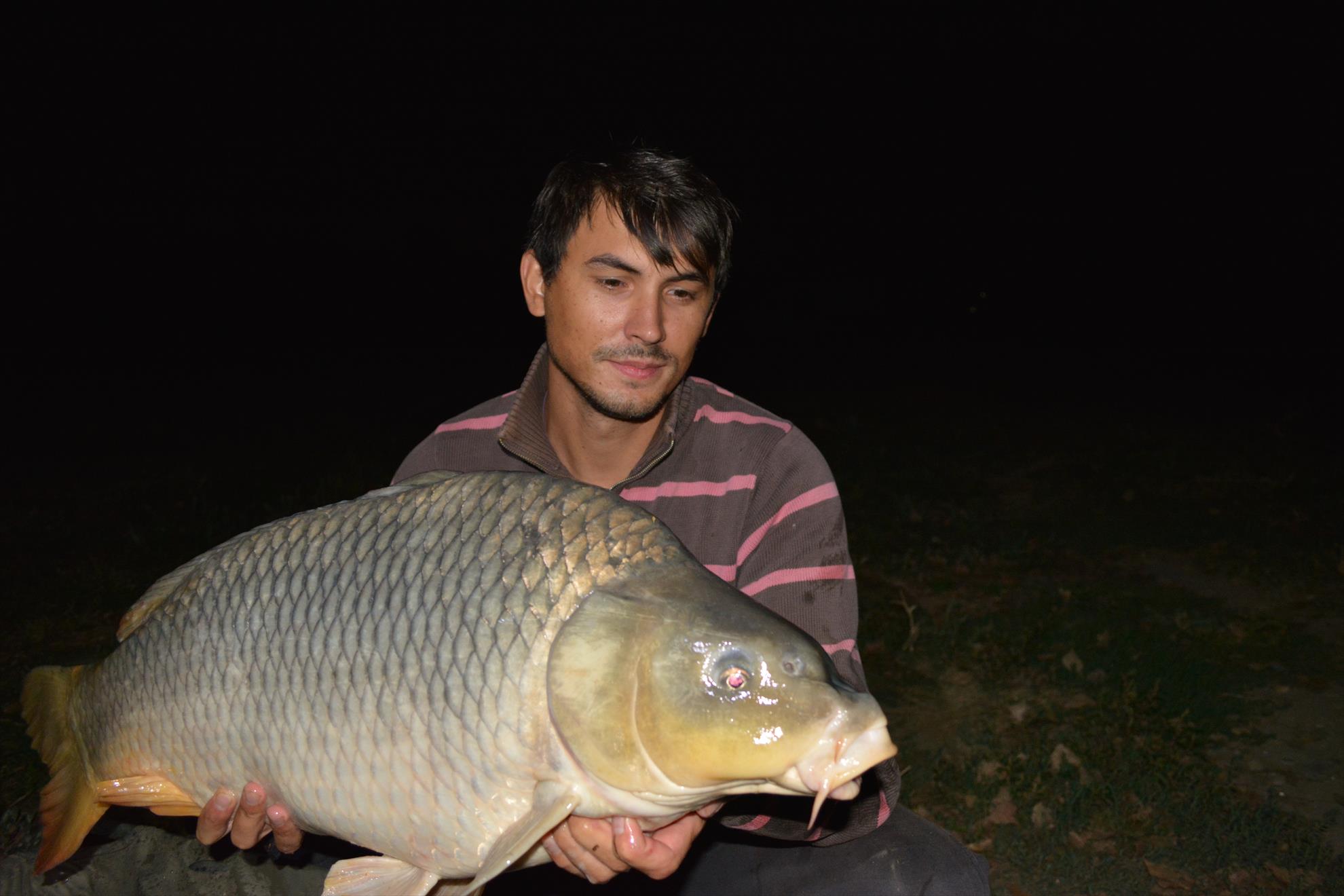 Hermes Peris 12 - 14 septembrie 2014 - dsc0107.JPG